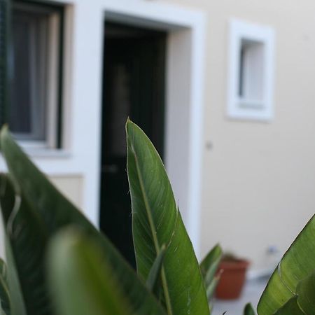 Aeraki Apartment Lefkada City Exterior photo