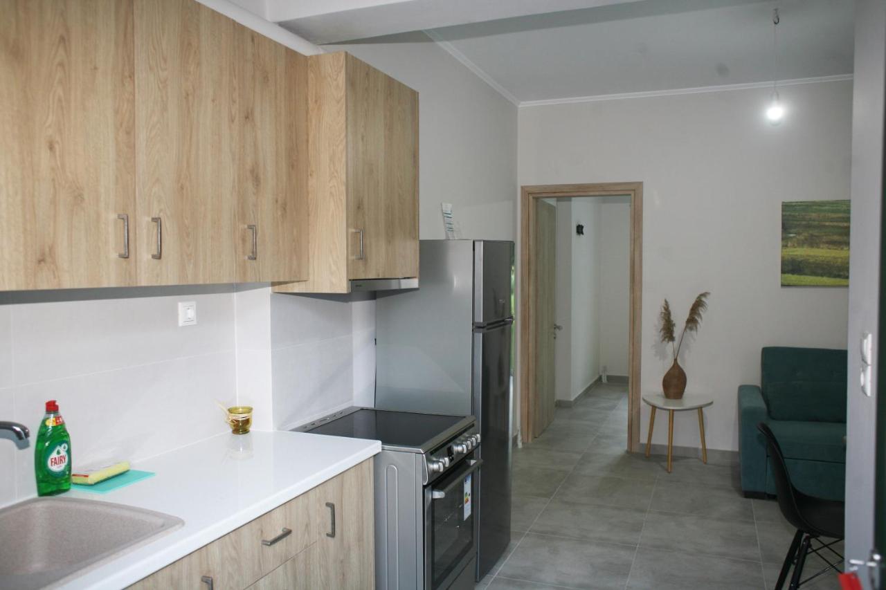 Aeraki Apartment Lefkada City Exterior photo
