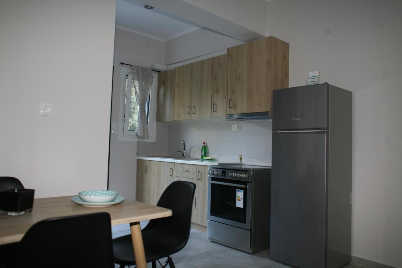Aeraki Apartment Lefkada City Exterior photo