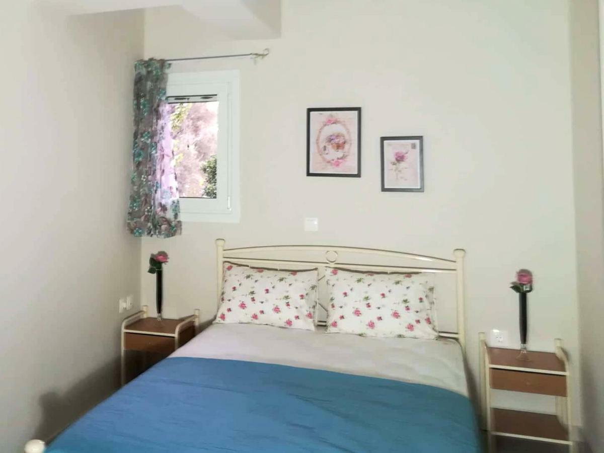 Aeraki Apartment Lefkada City Exterior photo